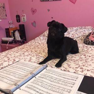 Meet your Posher, Alanah